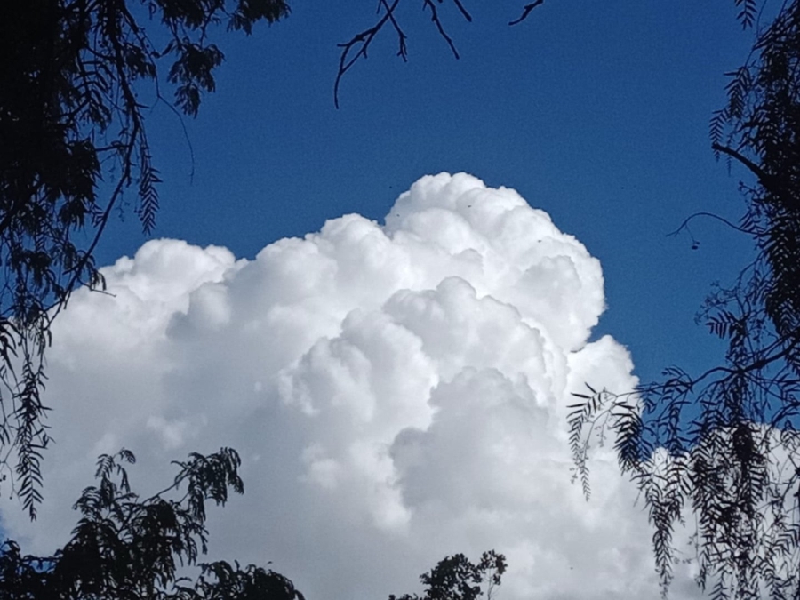 Commercial Property for Sale in Paradise Beach Eastern Cape